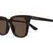 002 - Havana - Brown
