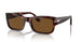 24/57 - Tortoise - Brown Polar