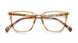 BRHV - Brown Havana