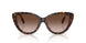 421613 - Brown - Brown Gradient