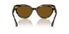 100383 - Havana - Brown Polar