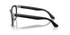 003/M1 - Black - Clear/green