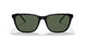 27539A - Black - Dark Green Polar