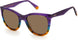 Polaroid Core Polaroid4096 Sunglasses