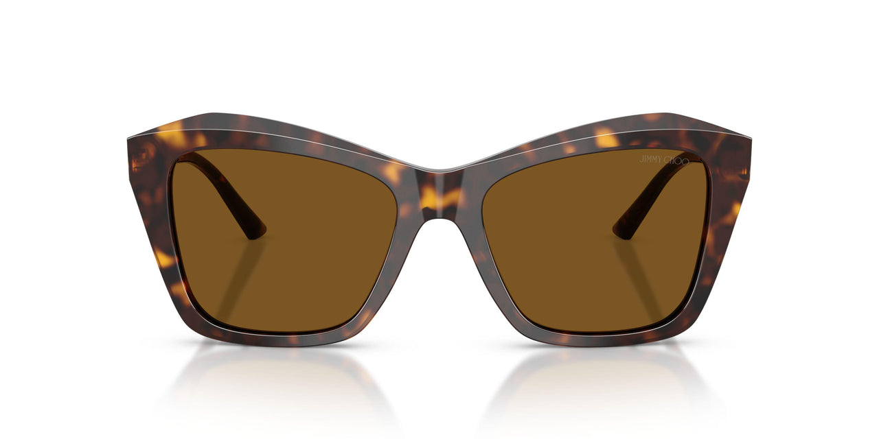 500283 - Tortoise - Dark Brown Polarized