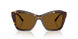 500283 - Tortoise - Dark Brown Polarized