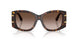 502/13 - Tortoise - Gradient Brown