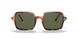 954/31 - Havana - Green