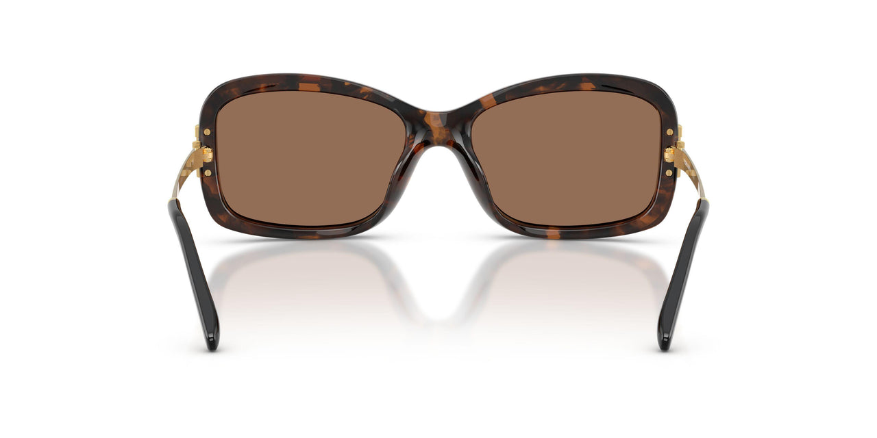 199273 - Tortoise - Dark Brown