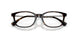 5026 - Tortoise