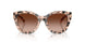 508013 - Tortoise - Gradient Brown