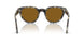 107133 - Tortoise - Brown
