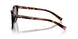 12O10D - Brown - Light Brown