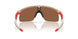 901017 - Brown - Prizm Tungsten