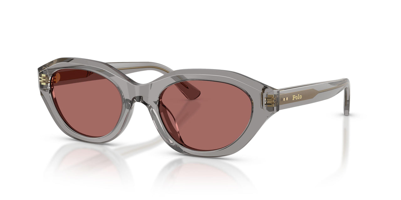 631869 - Grey - Dark Violet