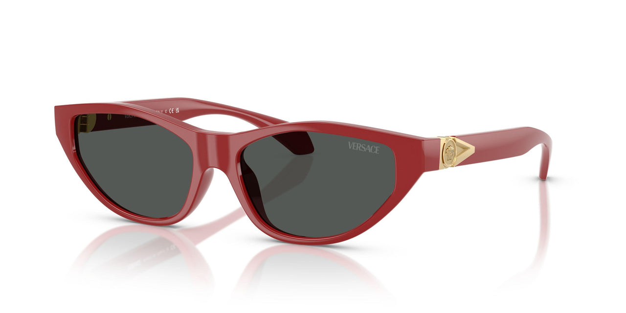 538887 - Red - Dark Grey