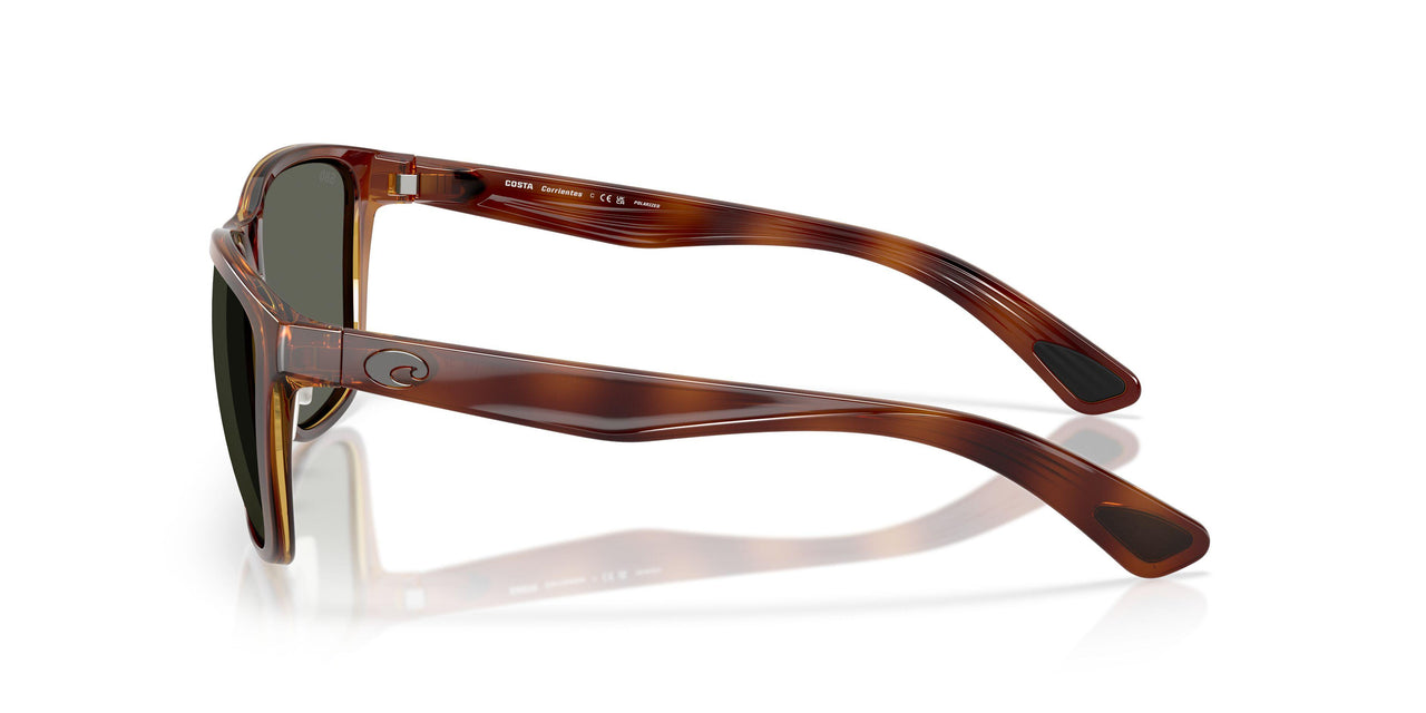 912406 - Tortoise - Gray
