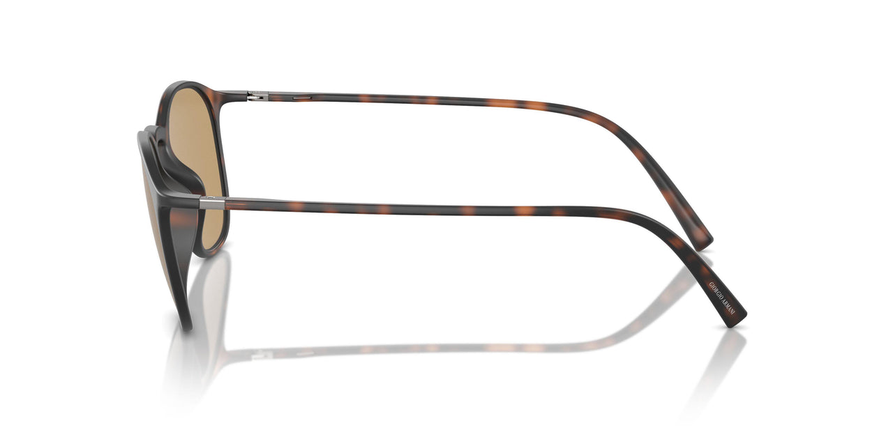 508973 - Tortoise - Dark Brown