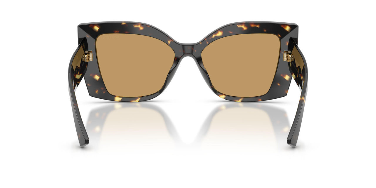 511173 - Havana - Brown