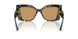 511173 - Havana - Brown