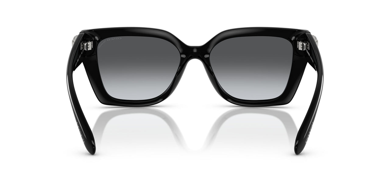 5002T3 - Black - Grey Gradient Polar