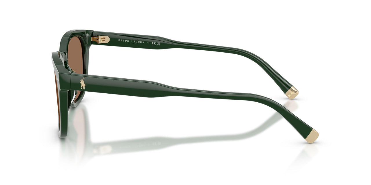 614073 - Green - Dark Brown