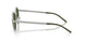 301571 - Silver - Dark Green