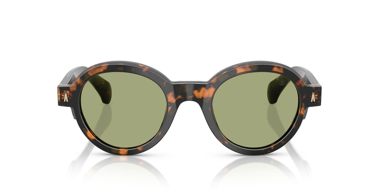 300682 - Tortoise - Green