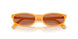 22D90Q - Yellow - Brown