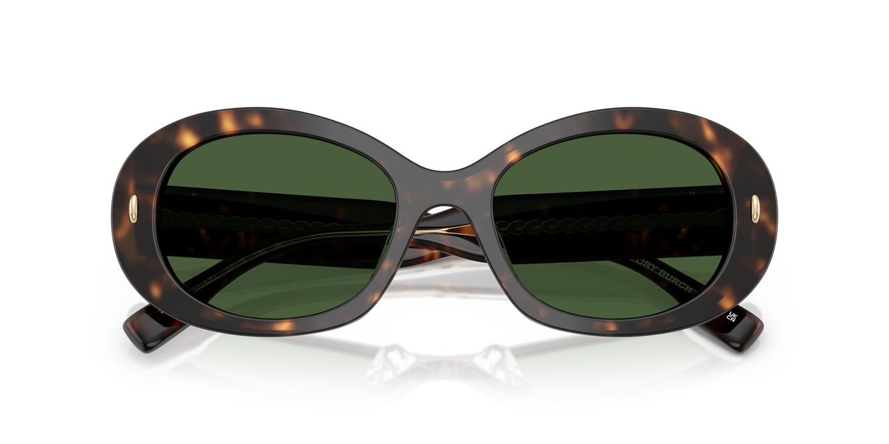 172871 - Tortoise - Dark Green