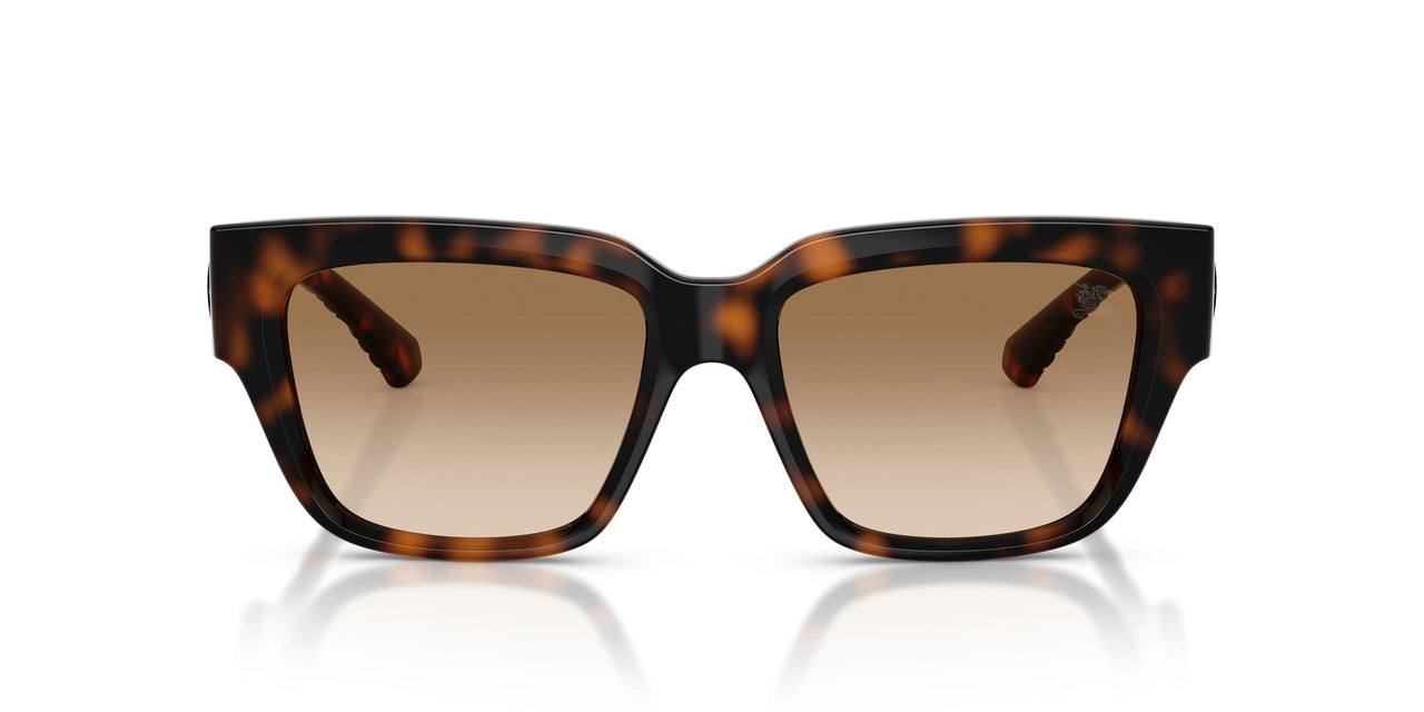 300289 - Brown - Brown Gradient
