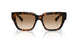 300289 - Brown - Brown Gradient