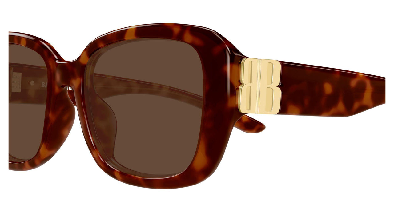 002 - Havana - Brown