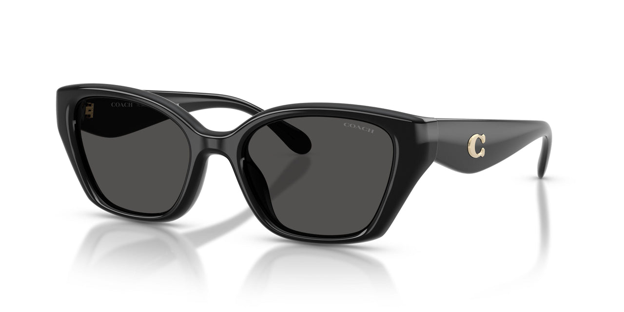 500287 - Black - Grey Solid