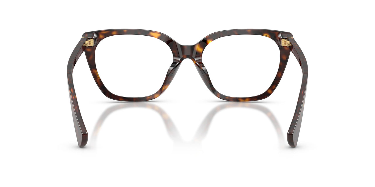 5003 - Tortoise