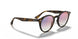 710/X0 - Havana - Gradient Blue Mirror Red