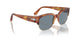 96/56 - Brown - Light Blue