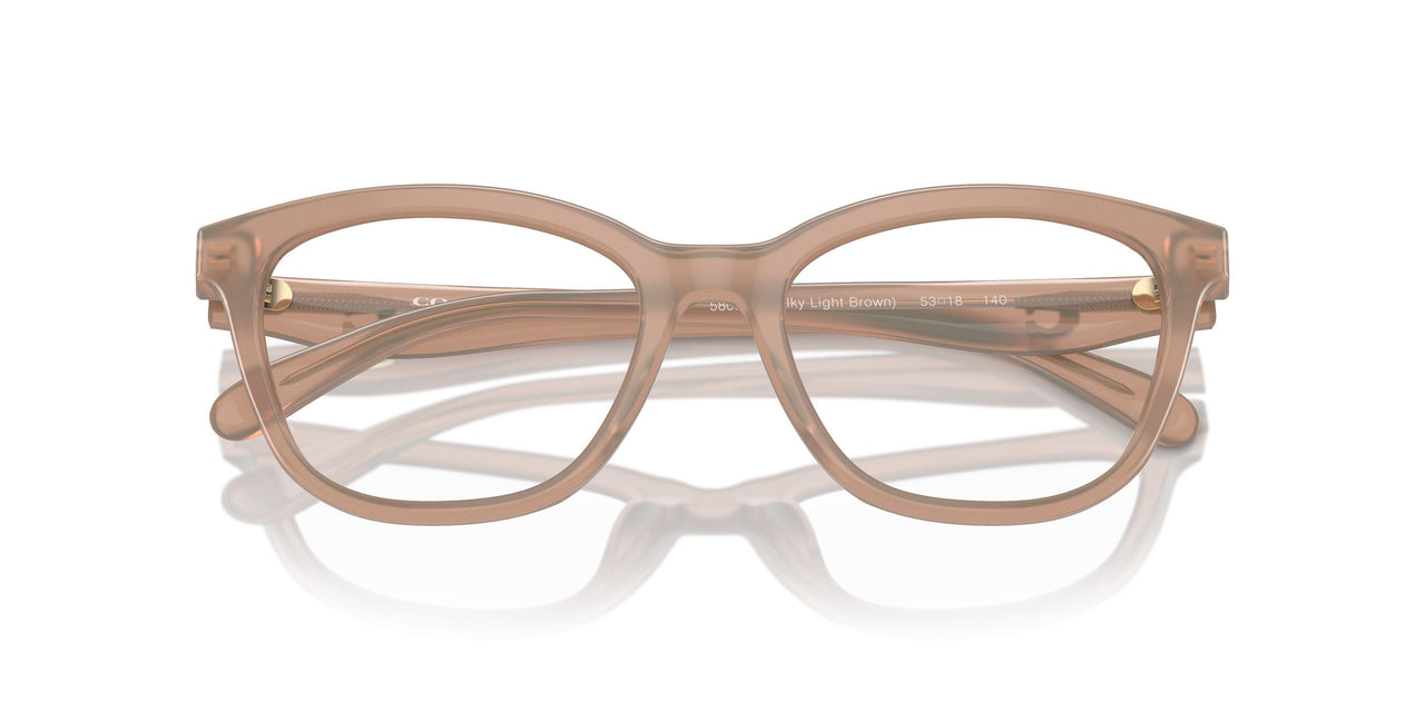 5808 - Brown