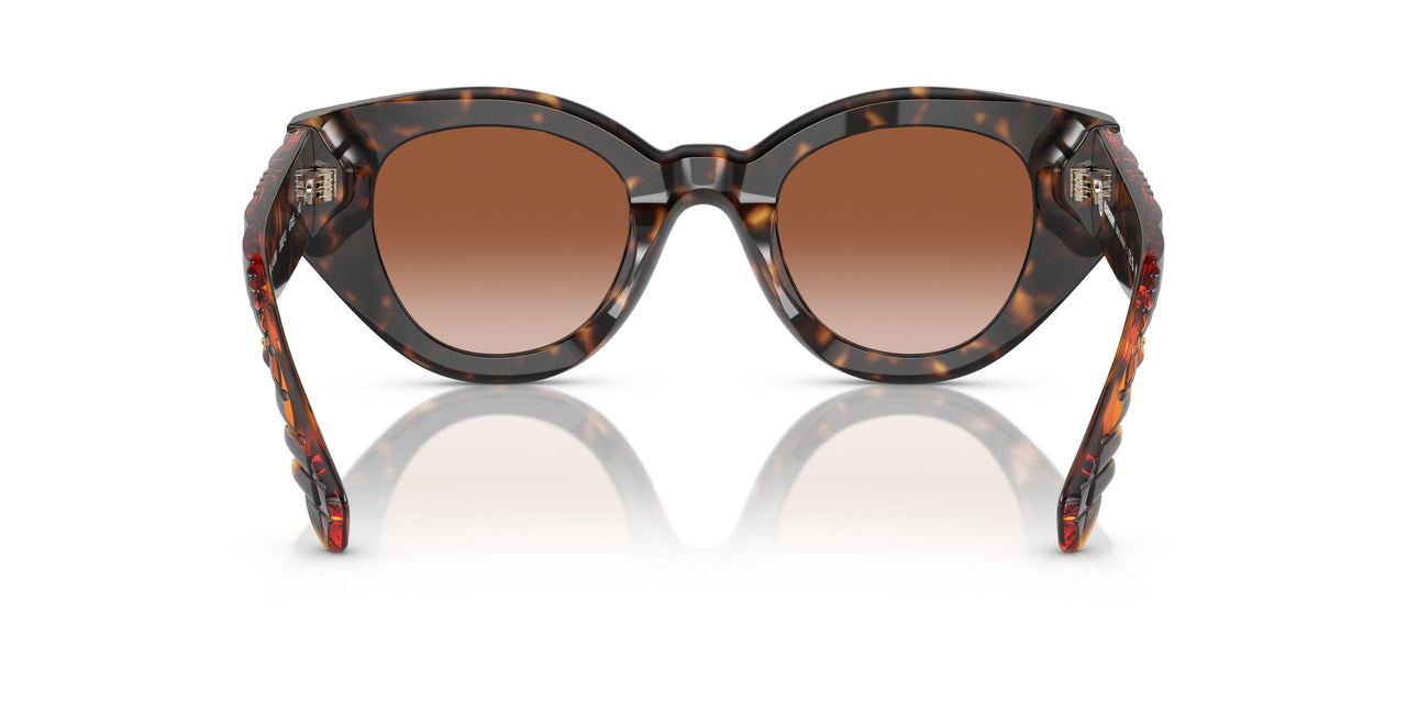 300213 - Brown - Brown Gradient