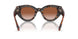 300213 - Brown - Brown Gradient
