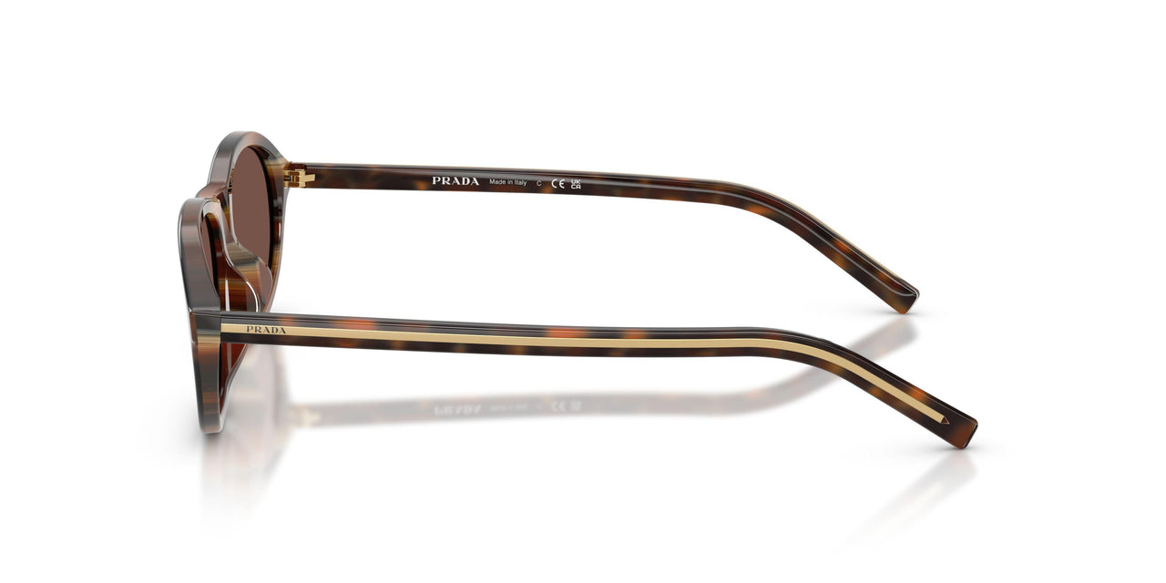 20P90W - Tortoise - Black Chocolate