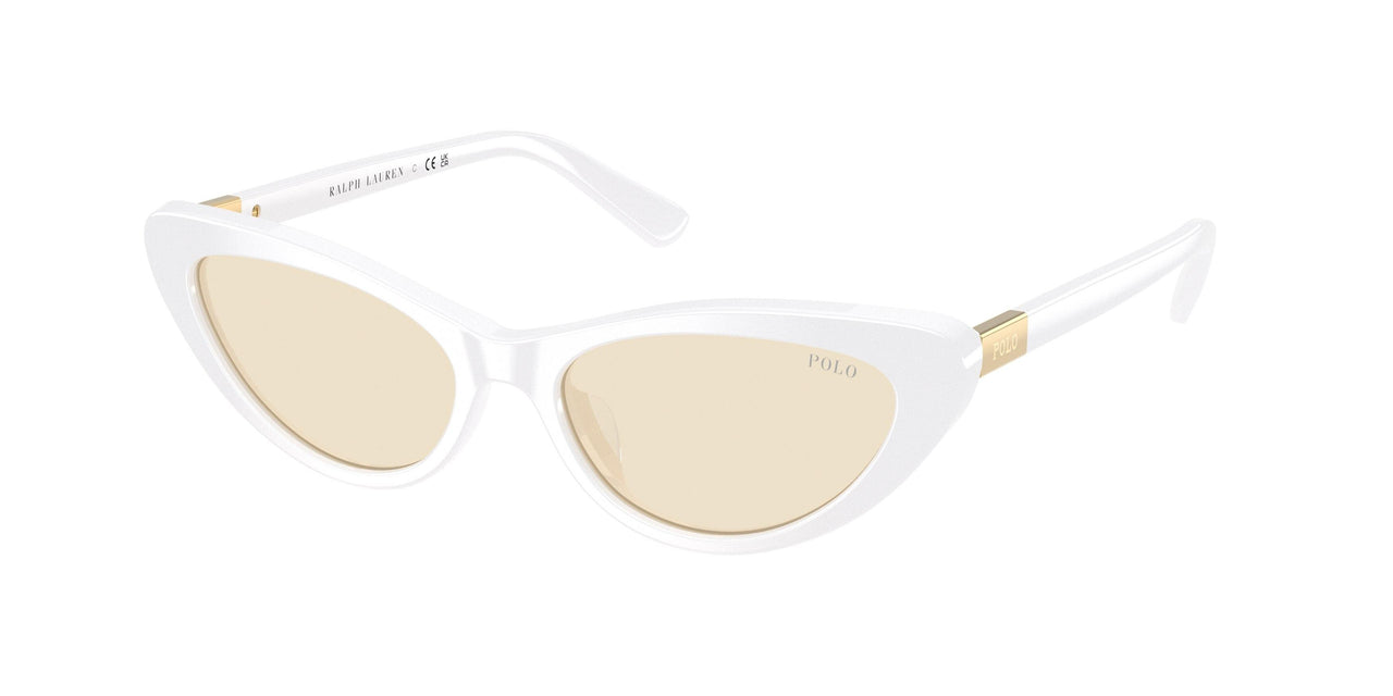 Polo 4199U Sunglasses