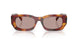 22A20I - Tortoise - Light Purple Brown