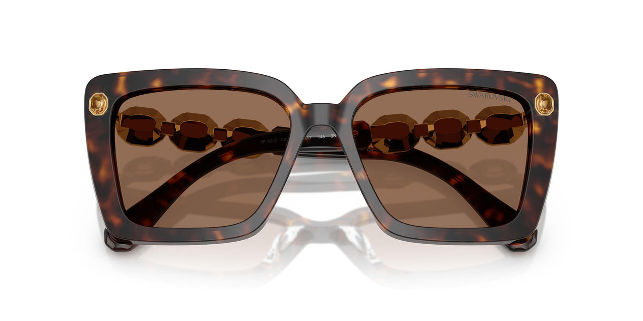 100273 - Tortoise - Dark Brown