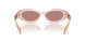 19Q10D - Orange - Light Brown