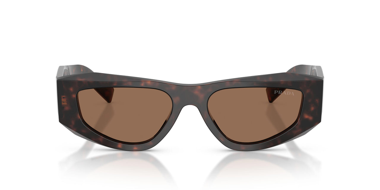 17N06B - Tortoise - Dark Brown