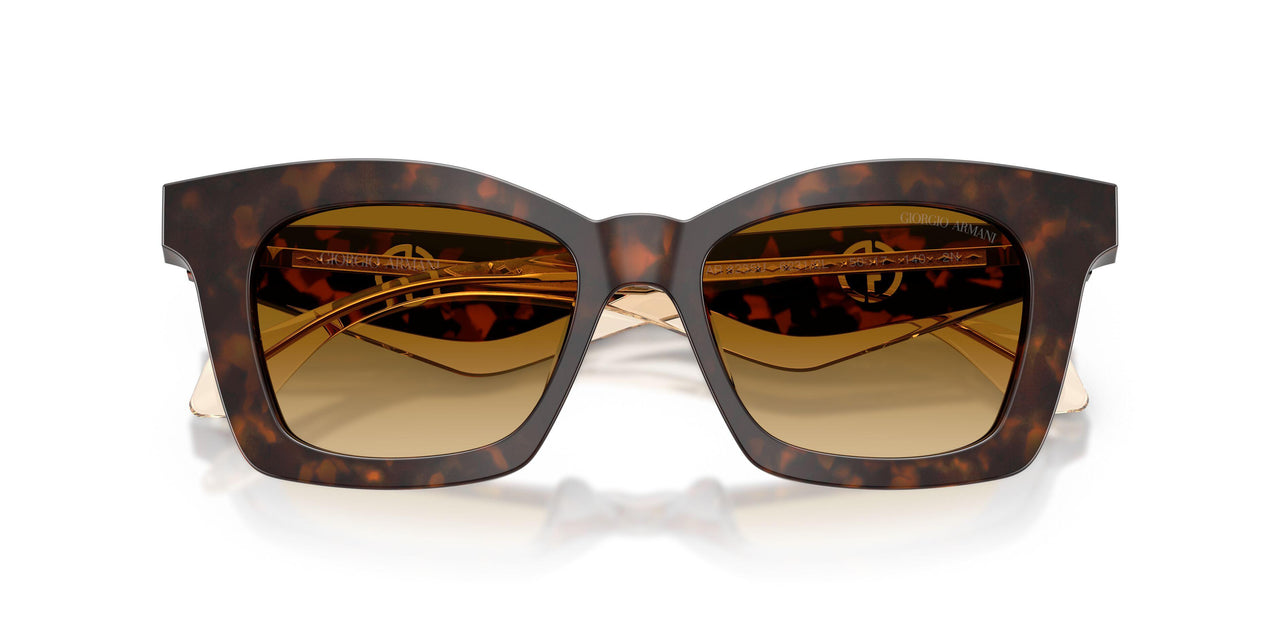 62312L - Tortoise - Yellow Gradient Light Brown