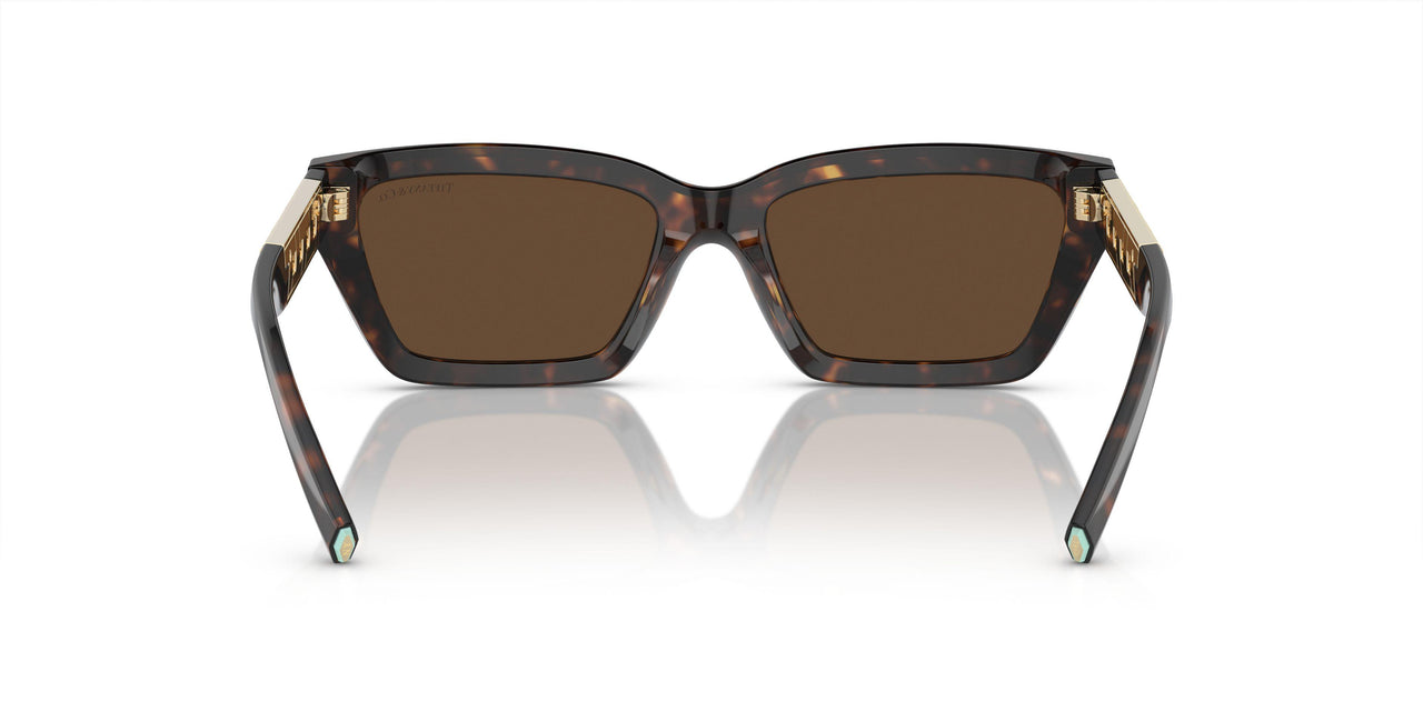 80153G - Tortoise - Light Brown