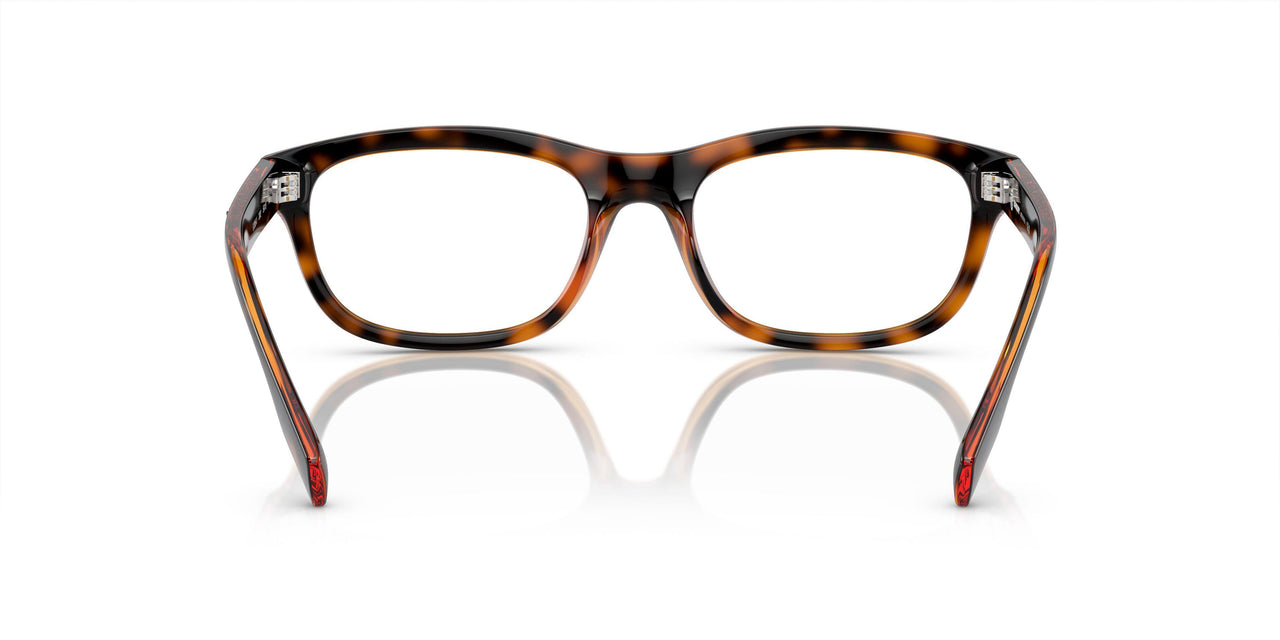 3002 - Brown