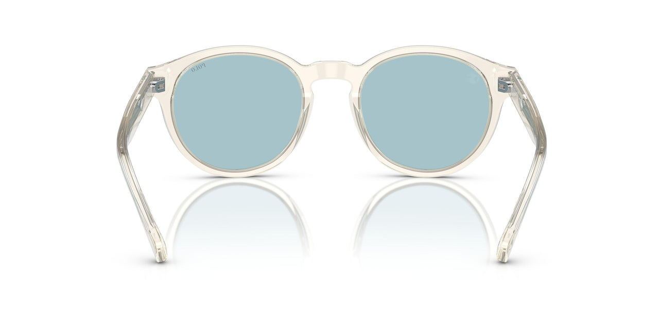503480 - Grey - Light Azure
